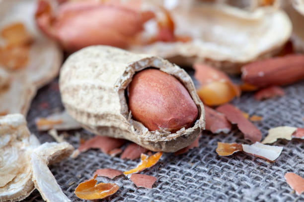 خرید و قیمت بادام زمینی ایرانی + فروش صادراتی